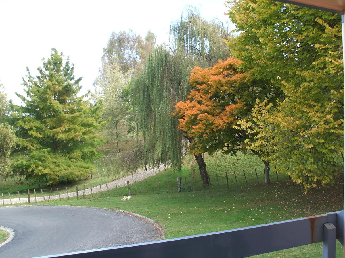 Caves Motor Inn Te Kuiti Esterno foto